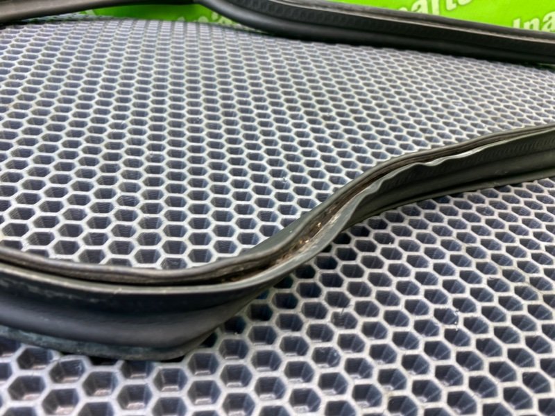 Уплотнитель, 1000 рублей, Калининград