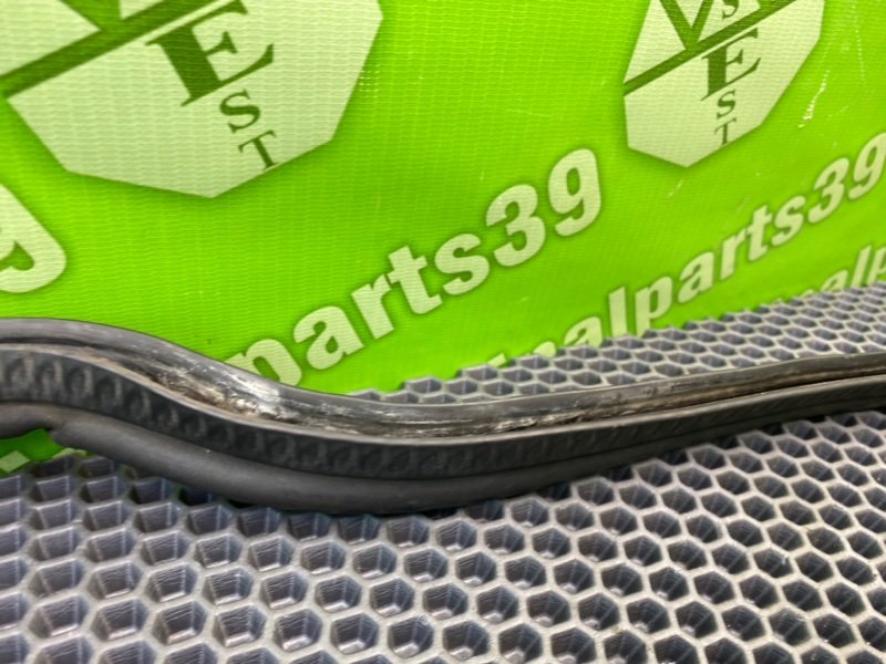 Уплотнитель, 1000 рублей, Калининград