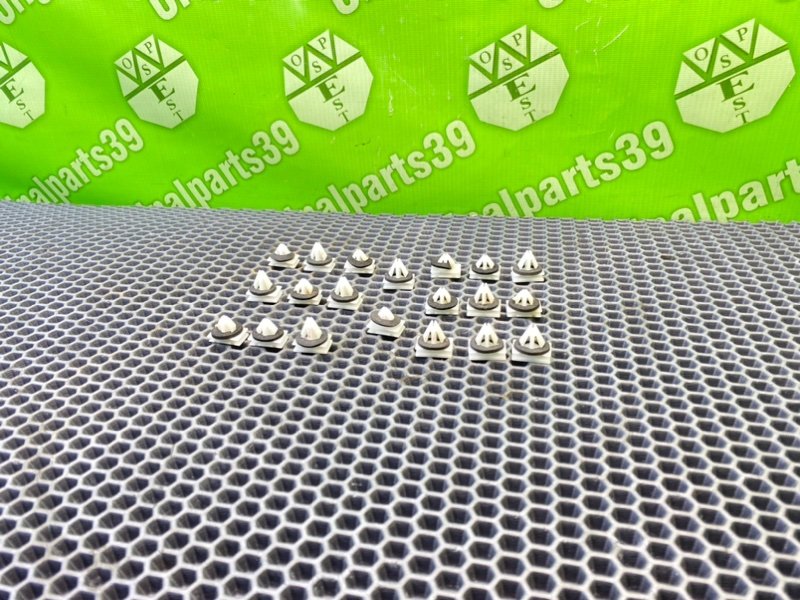 Клипсы, 1000 рублей, Тверь