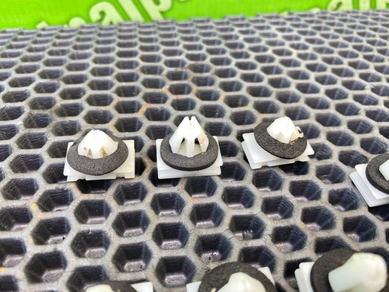 Клипсы, 1000 рублей, Тверь