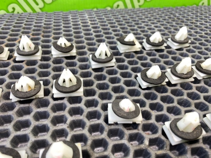 Клипсы, 1000 рублей, Тверь