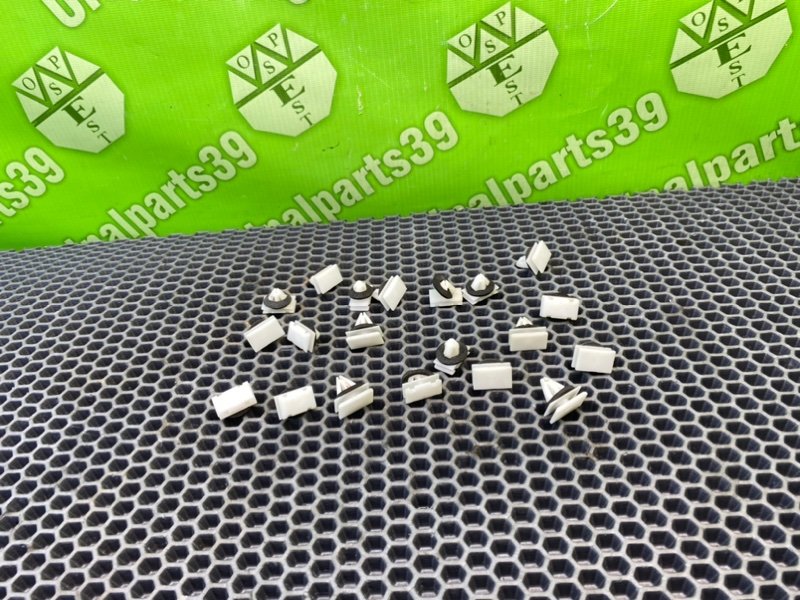 Клипсы, 1000 рублей, Тверь