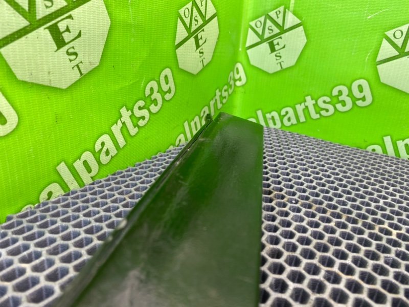 Ресничка, 1000 рублей, Калининград