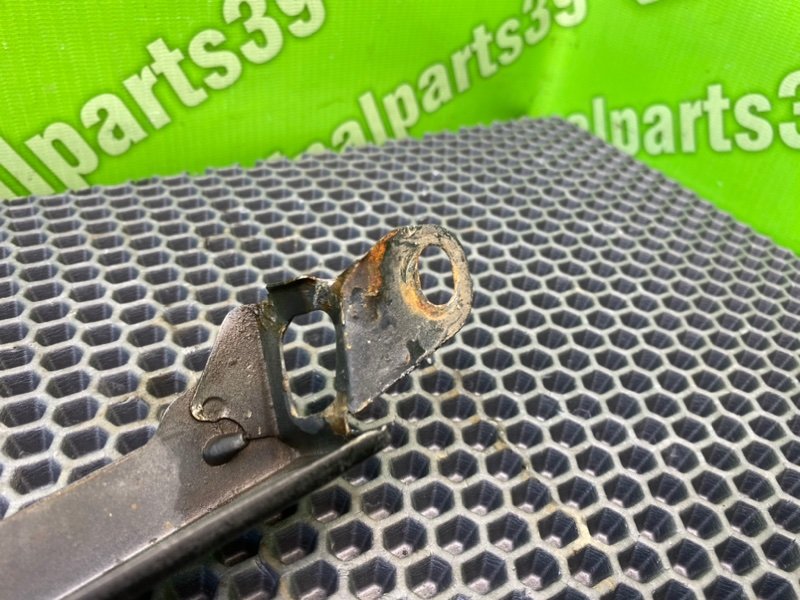 Ресничка, 800 рублей, Калининград