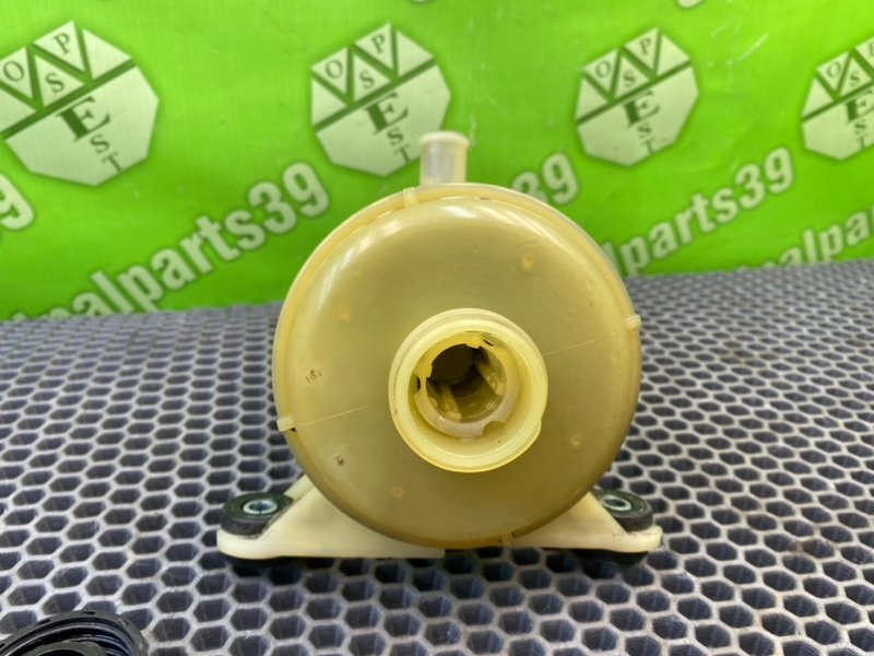 Бачок гур, 1000 рублей, Калининград