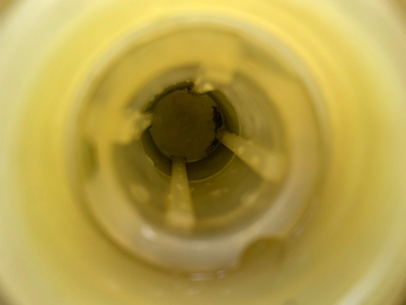 Бачок гур, 1000 рублей, Калининград