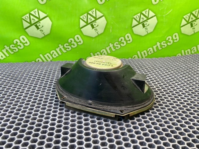 Динамик, 900 рублей, Калининград