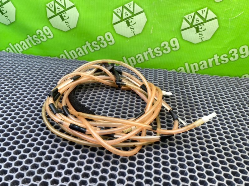 Шланг стеклоомывателя, 1500 рублей, Калининград