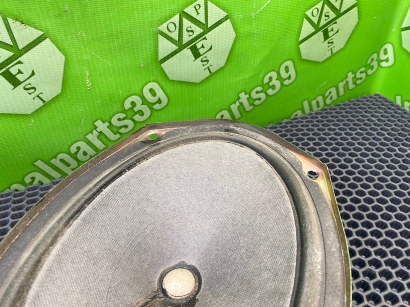 Динамик, 1000 рублей, Калининград