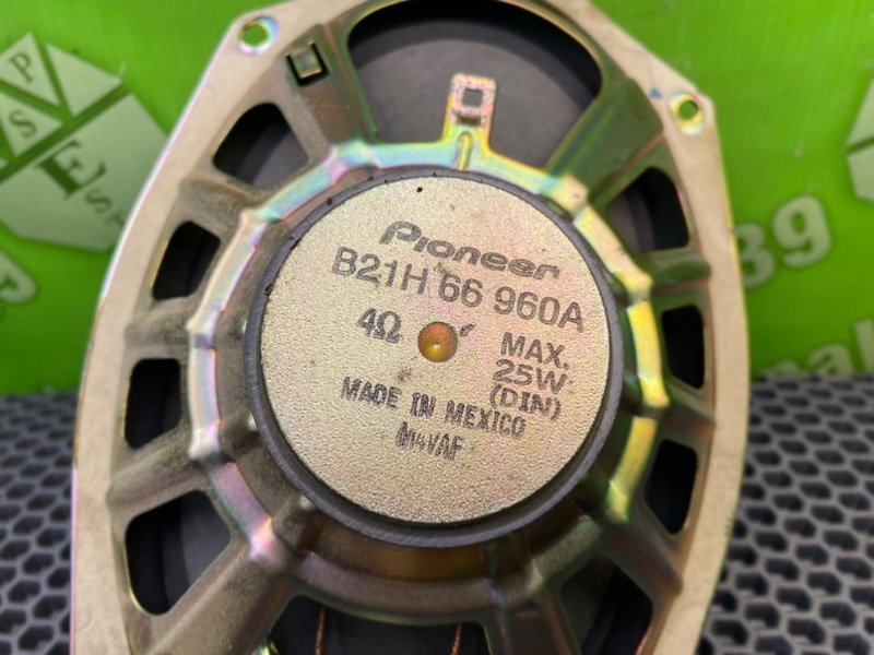 Динамик, 1000 рублей, Калининград