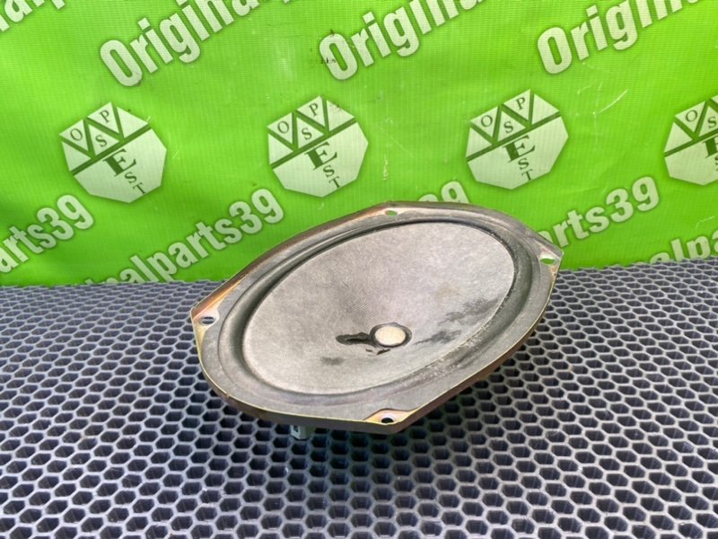 Динамик, 1000 рублей, Калининград