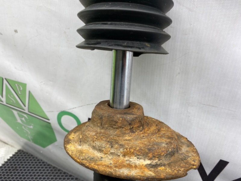 Амортизатор, 4100 рублей, Калининград