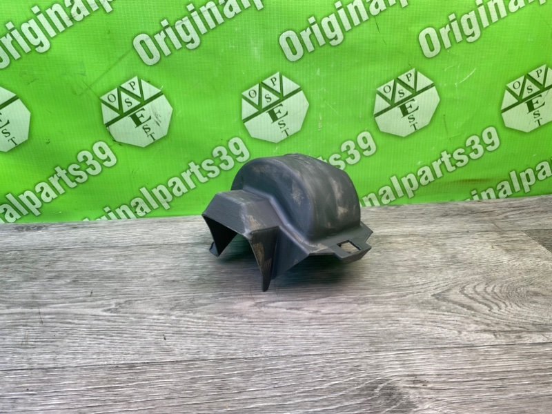 Пыльник, 800 рублей, Калининград