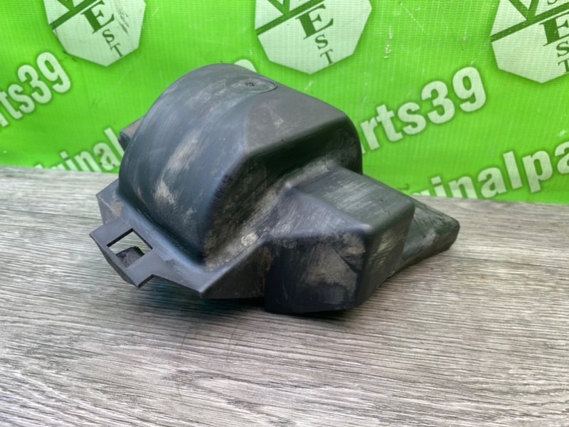 Пыльник, 800 рублей, Калининград