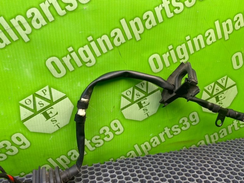 Проводка, 2200 рублей, Калининград