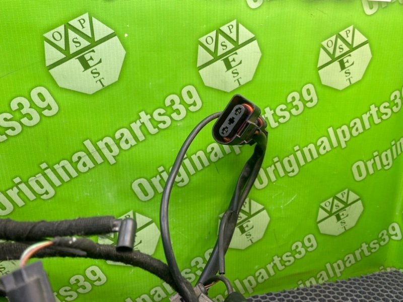 Проводка, 2000 рублей, Калининград