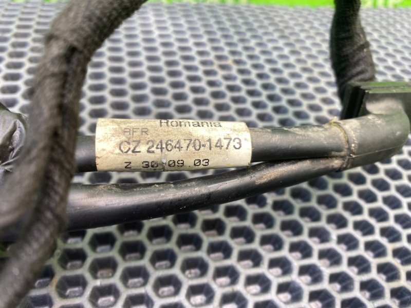 Проводка, 900 рублей, Калининград