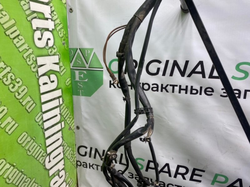 Проводка фары, 2700 рублей, Калининград