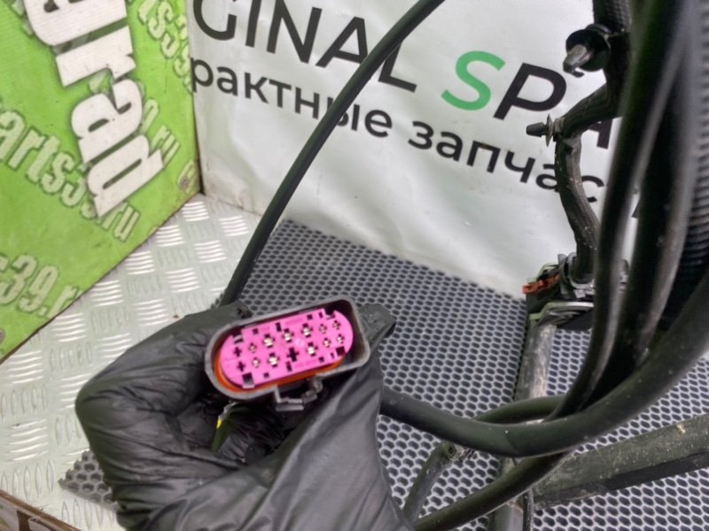 Проводка фары, 2700 рублей, Калининград