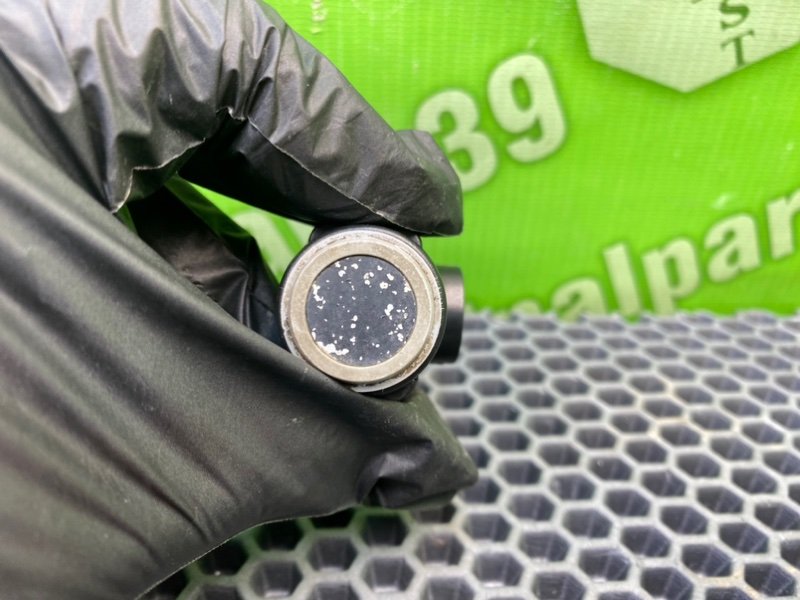 Парктроник, 1300 рублей, Калининград