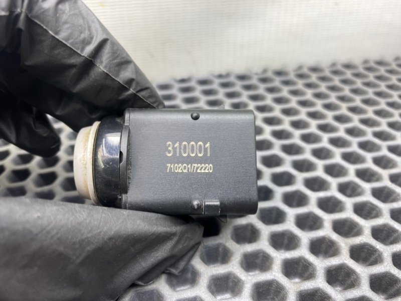 Парктроник, 800 рублей, Калининград