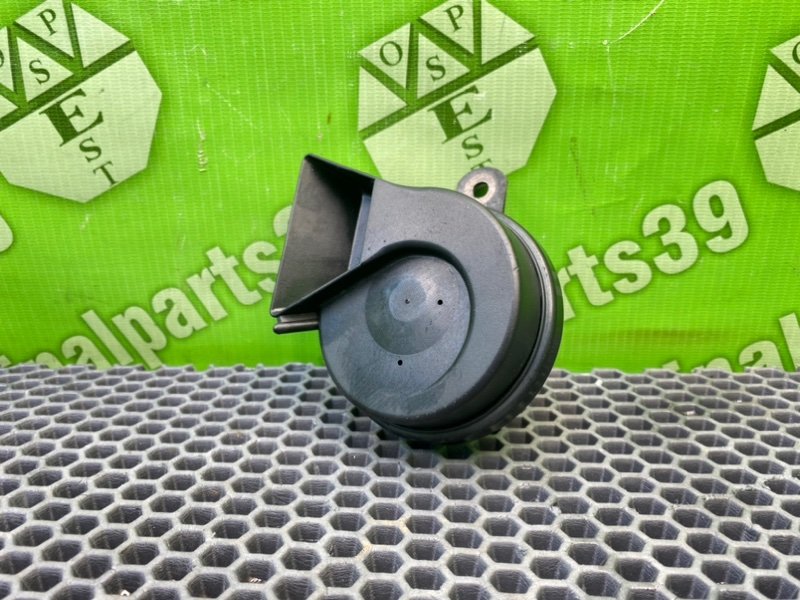 Звуковой сигнал, 1000 рублей, Калининград