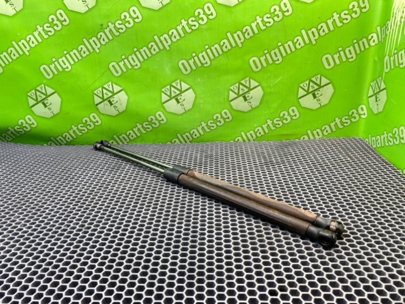 Амортизаторы багажника, 1000 рублей, Калининград