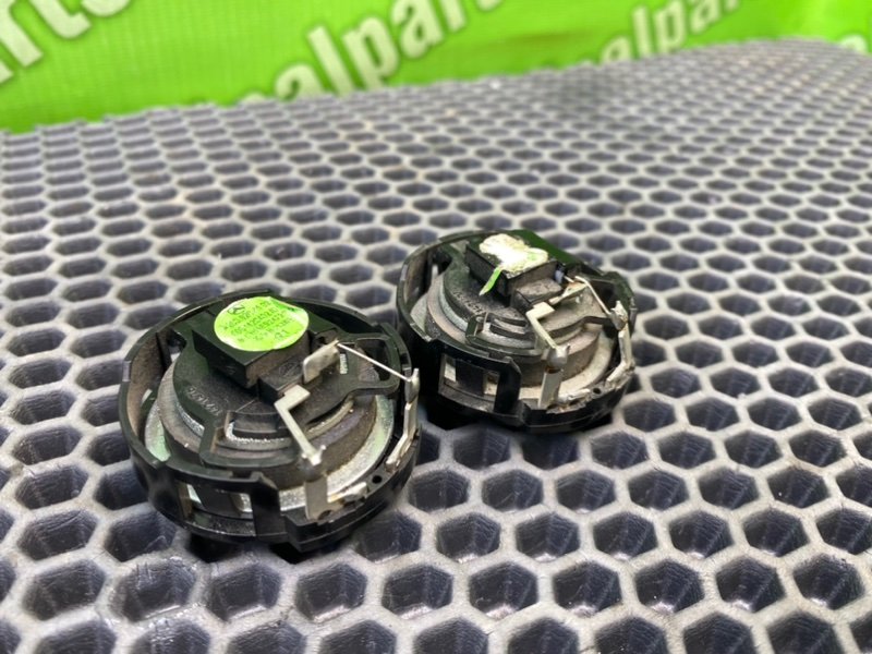 Твитеры, 1000 рублей, Калининград