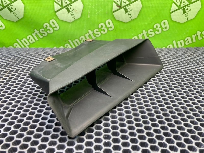 Воздухозаборник, 1000 рублей, Калининград