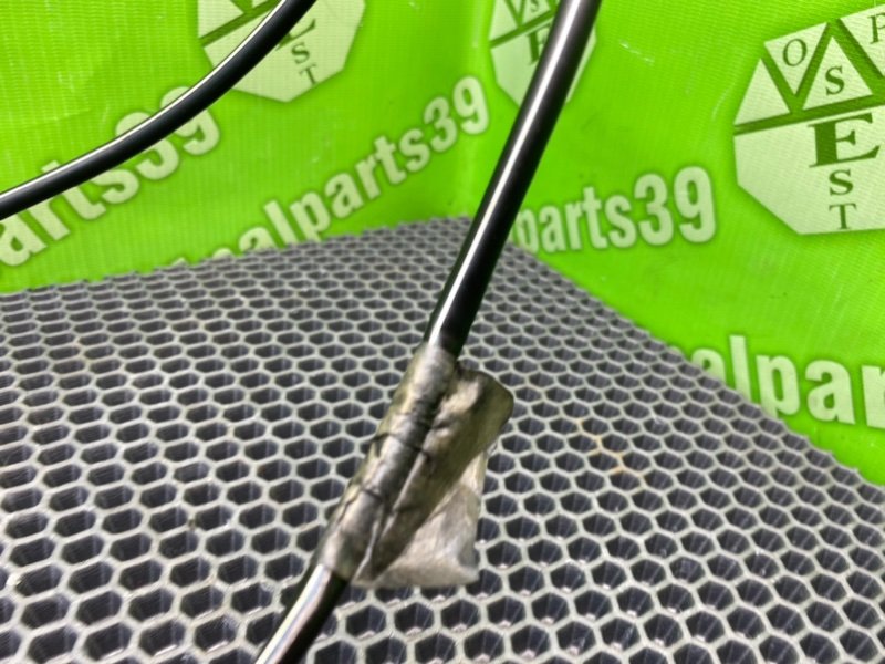 Проводка, 600 рублей, Калининград