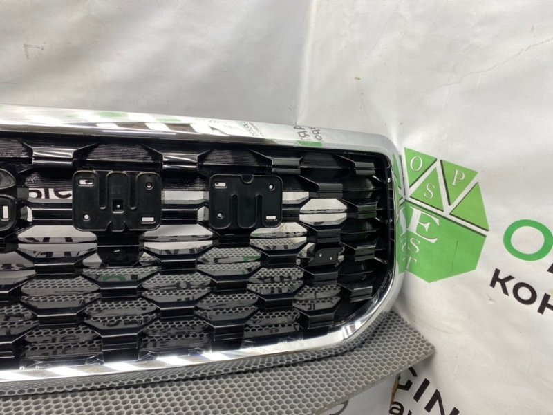 Решетка радиатора, 29300 рублей, Калининград