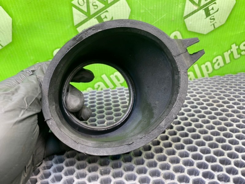 Манжета, 1000 рублей, Калининград