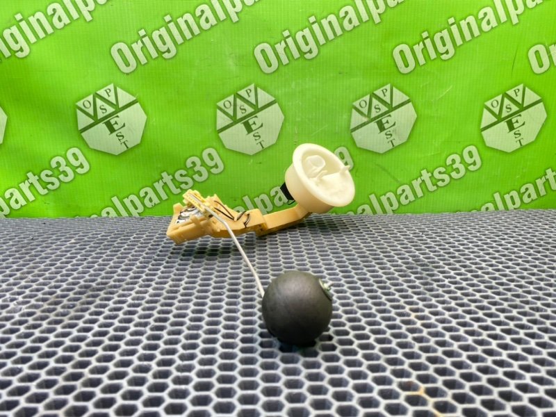 Дут, 1300 рублей, Калининград