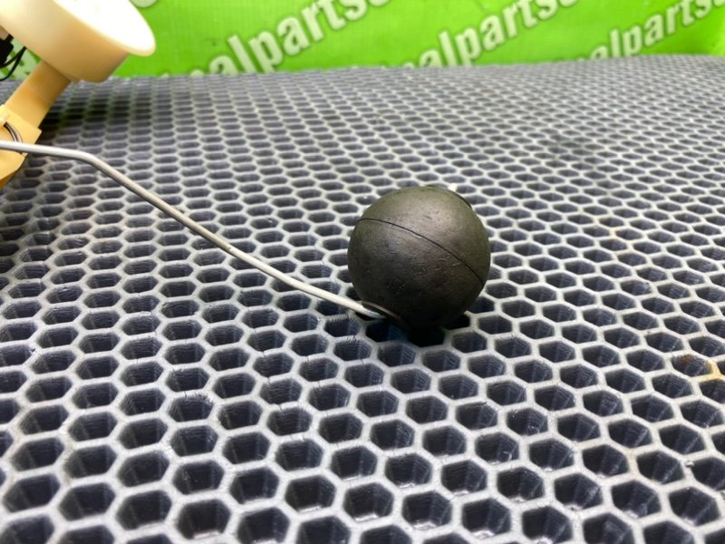 Дут, 1300 рублей, Калининград