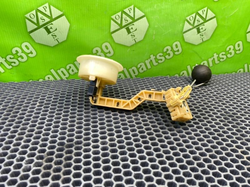 Дут, 1300 рублей, Калининград