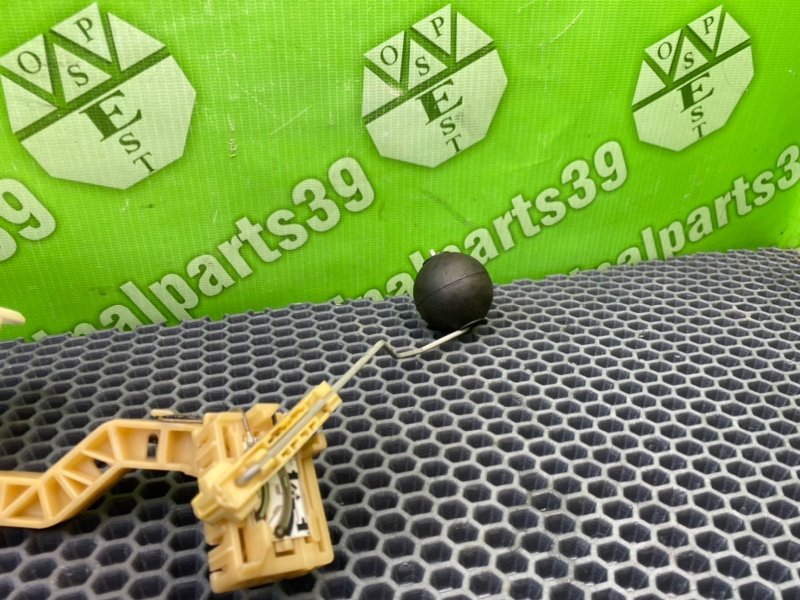 Дут, 1300 рублей, Калининград