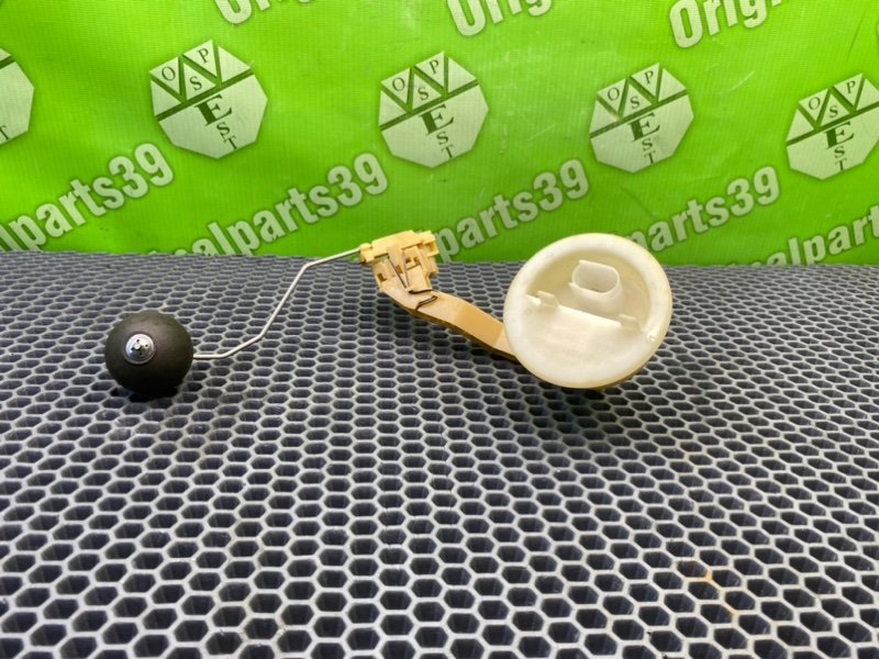 Дут, 1300 рублей, Калининград