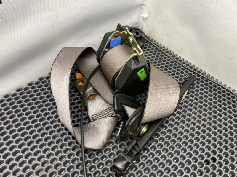 Ремни, 1300 рублей, Калининград