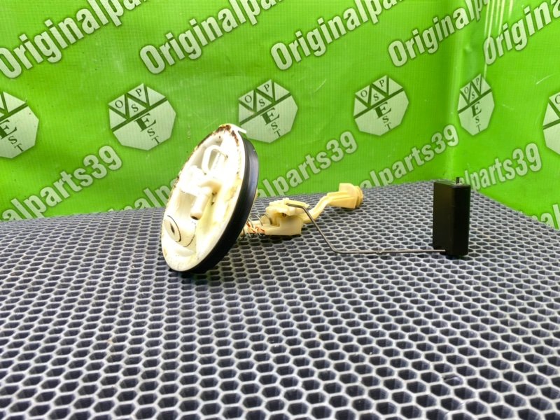 Дут, 2100 рублей, Калининград