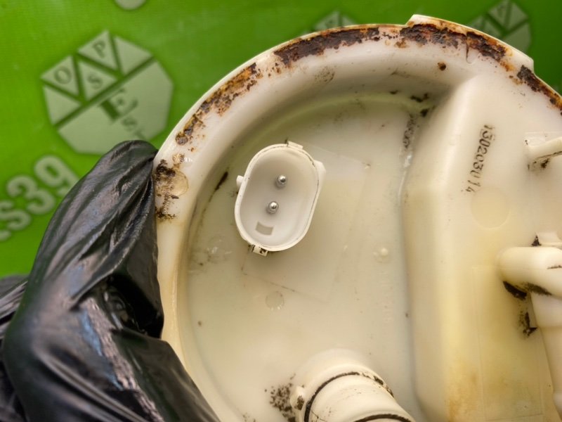 Дут, 2100 рублей, Калининград