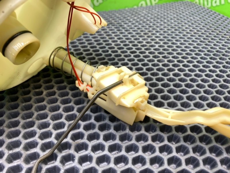 Дут, 2100 рублей, Калининград