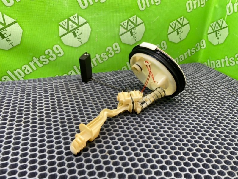 Дут, 2100 рублей, Калининград