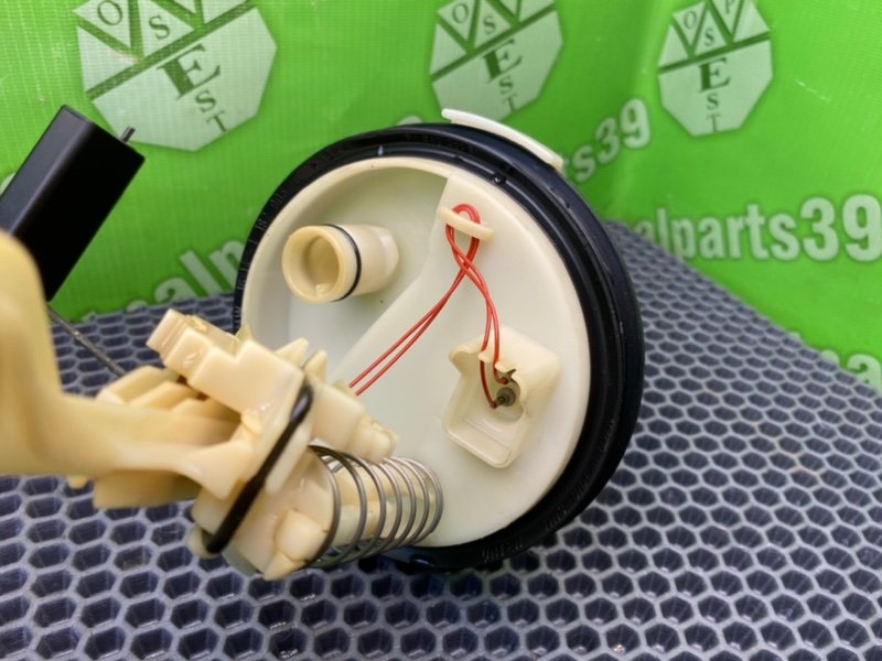 Дут, 2100 рублей, Калининград