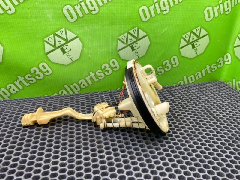 Дут, 2100 рублей, Калининград