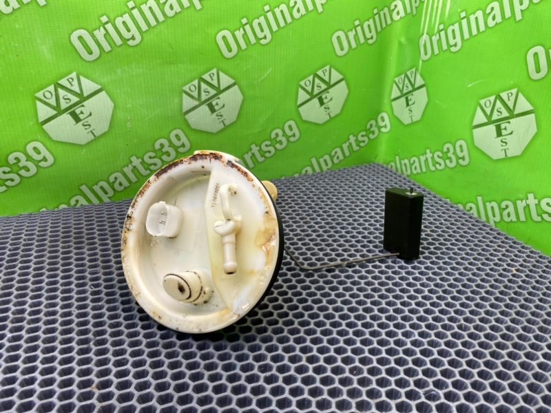 Дут, 2100 рублей, Калининград