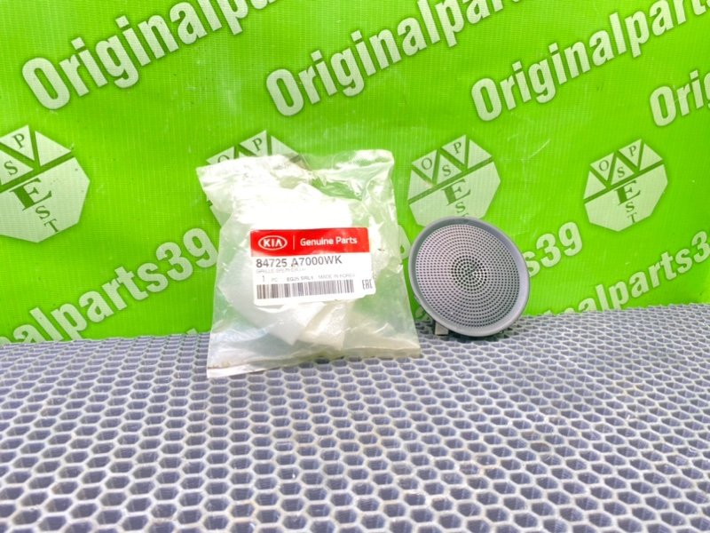 Крышка динамика, 1000 рублей, Калининград