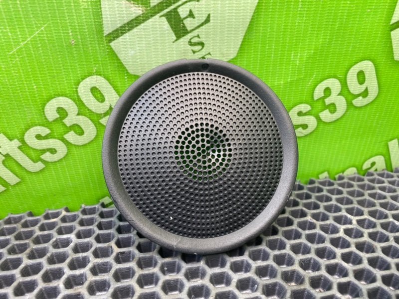 Крышка динамика, 1000 рублей, Калининград