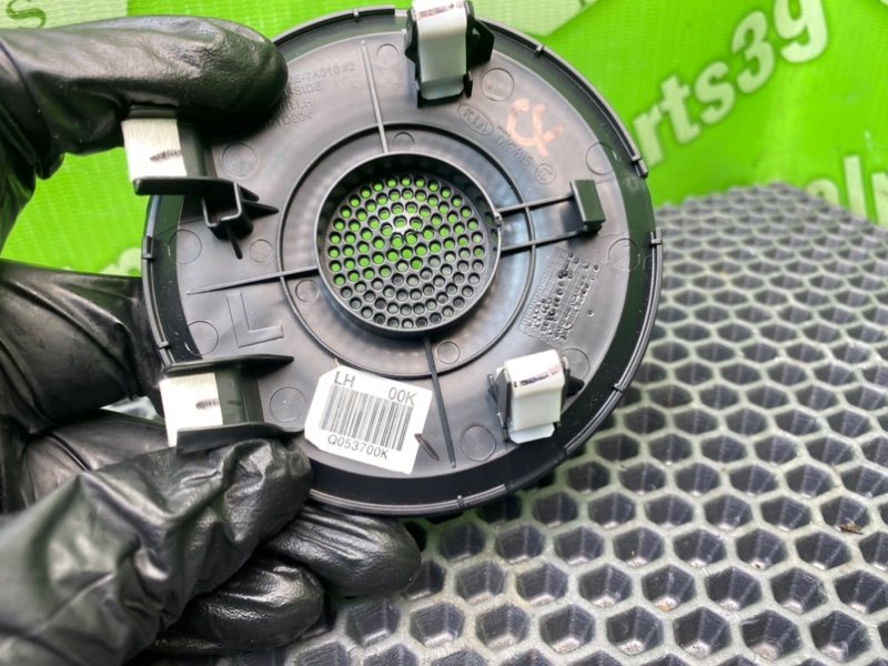 Крышка динамика, 1000 рублей, Калининград