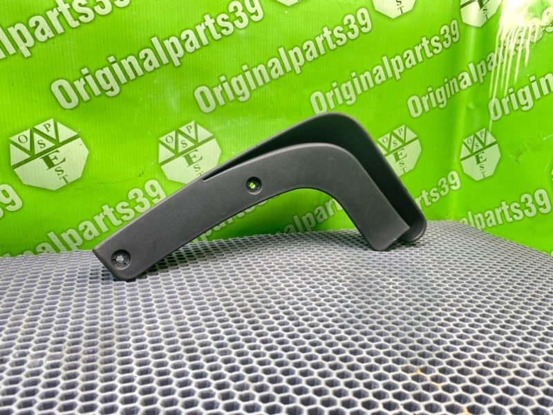 Брызговик, 1000 рублей, Калининград