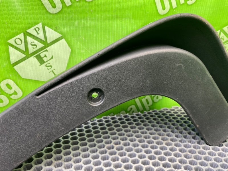 Брызговик, 1000 рублей, Калининград